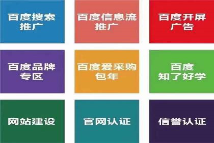 知名SEM服务公司成功案例分享